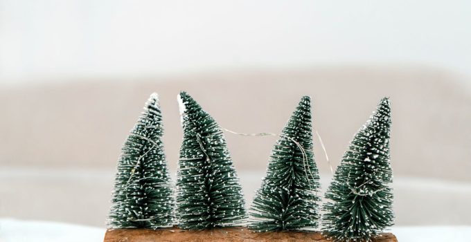 Hvide juletræer